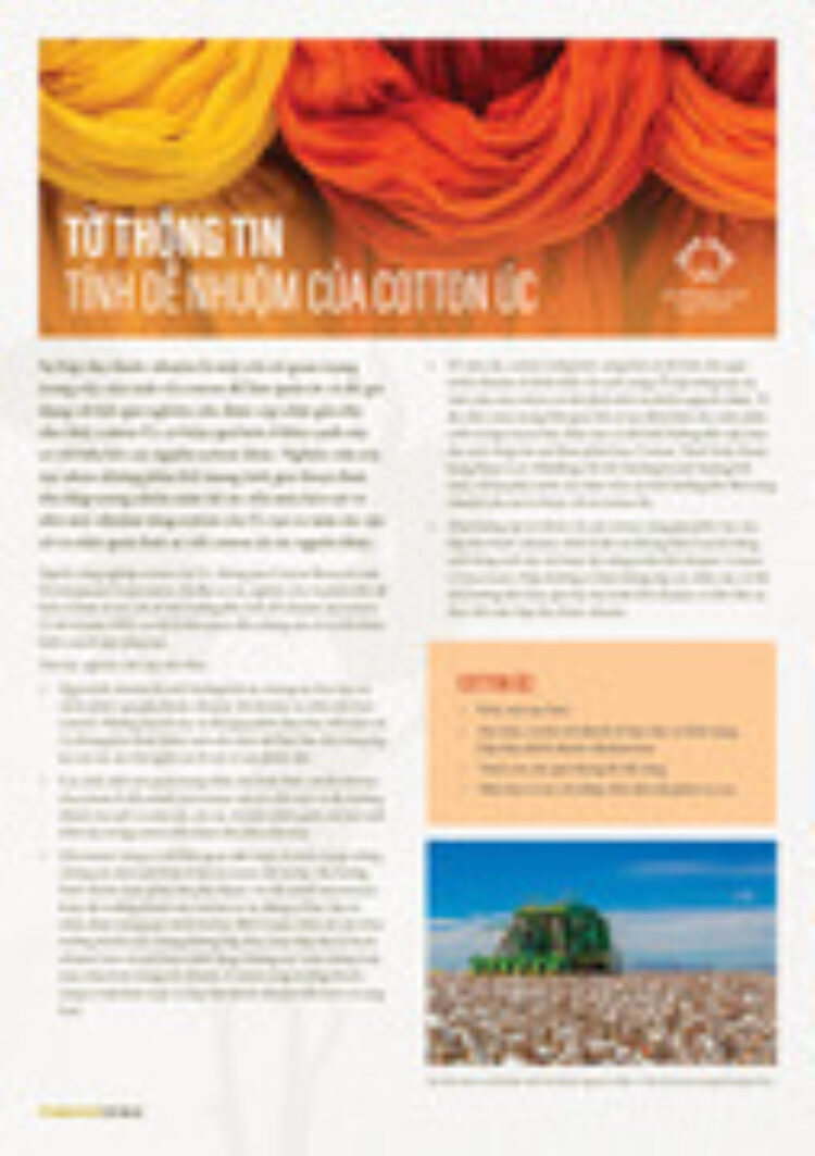 Australian Cotton dyeability in cotton Vietnamese