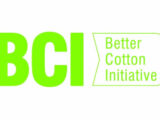BCI 3